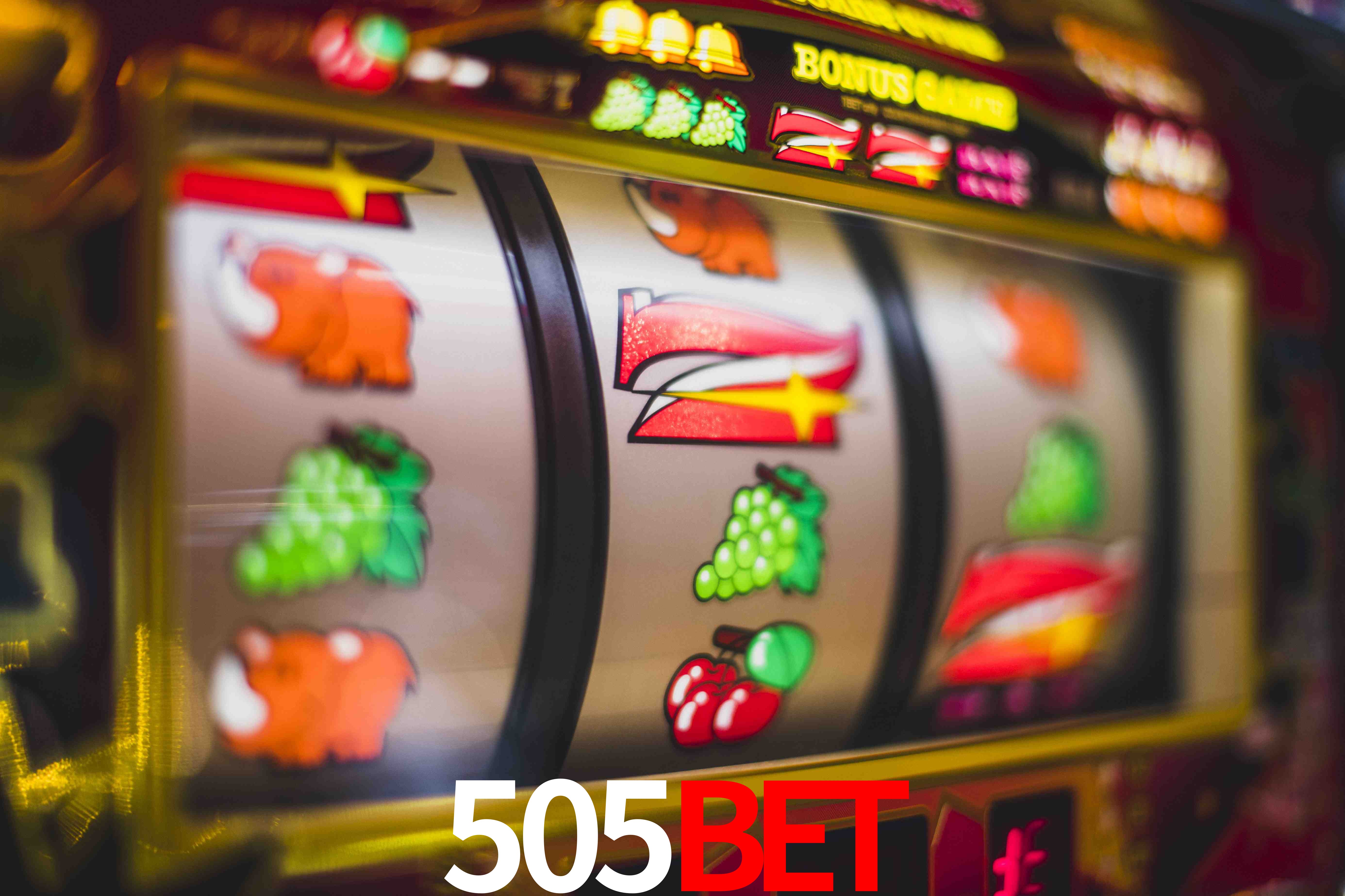 Statistics 505Bet